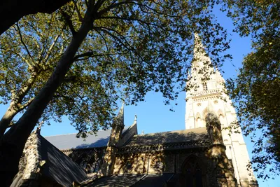 DSC_0450 (Large).JPG